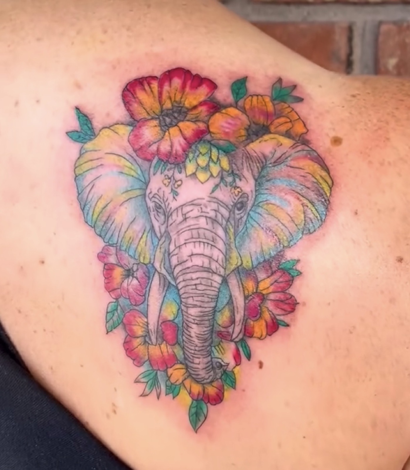 Color · elephant with florals