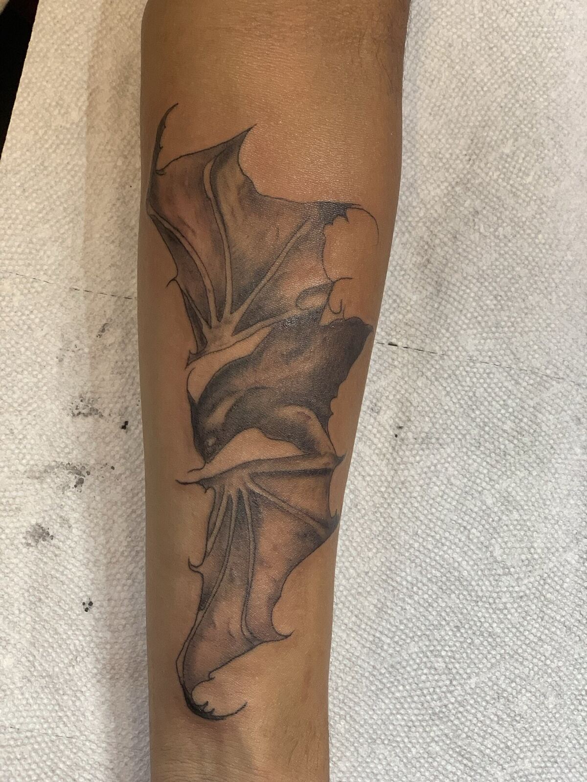 Black & gray · bat wings