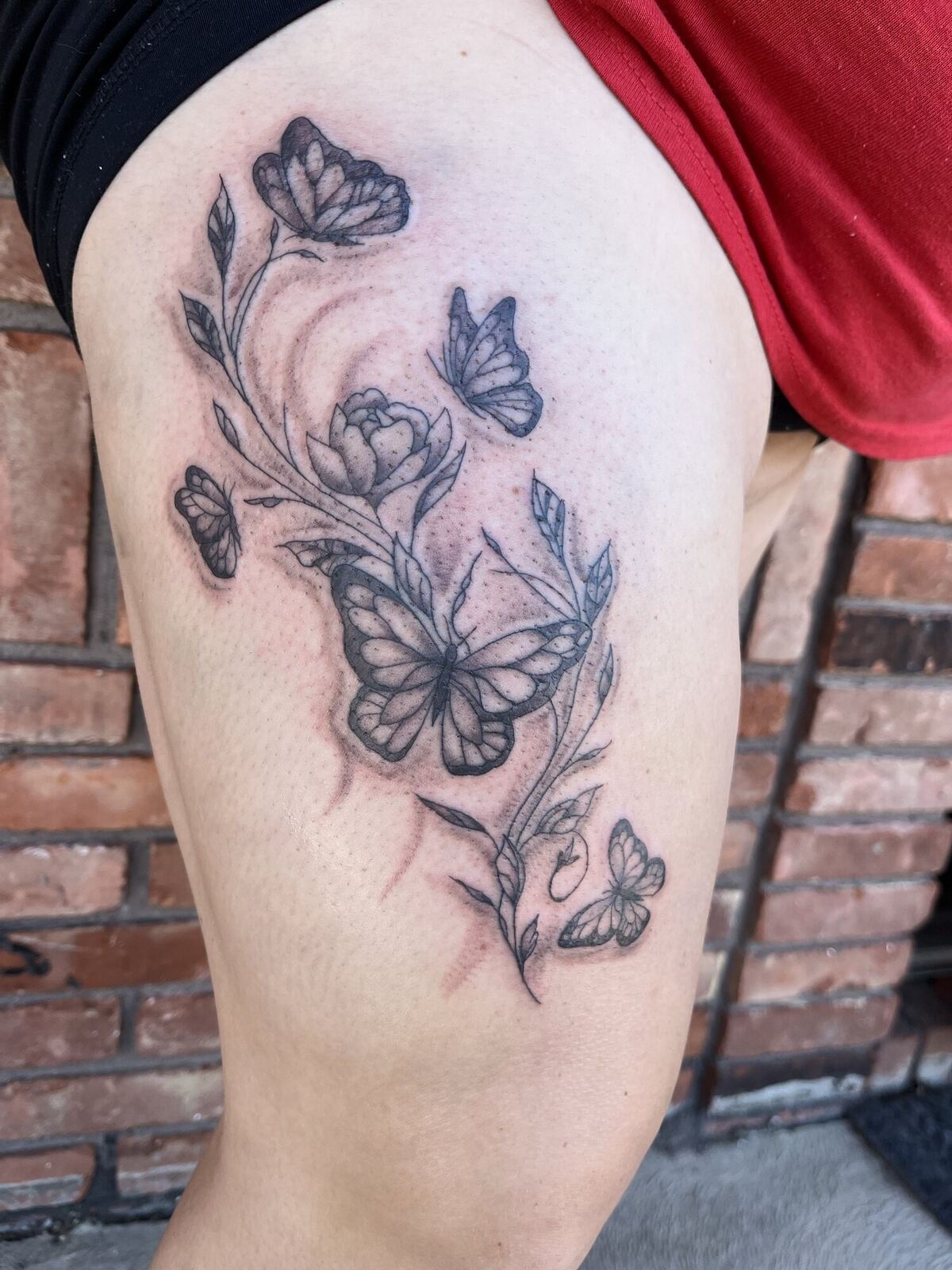 Fine line · butterflies & vines