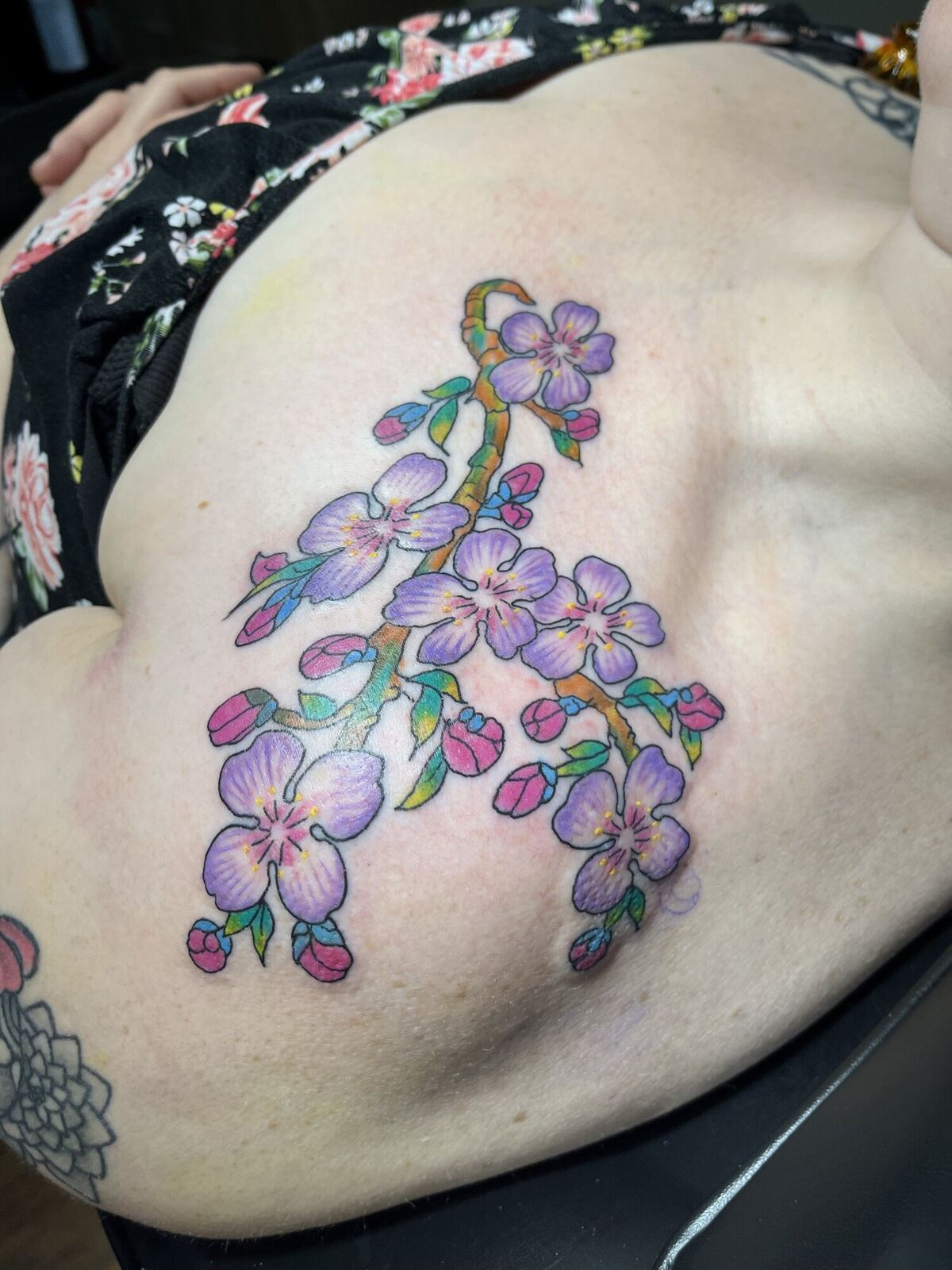 Color · cherry blossom branch