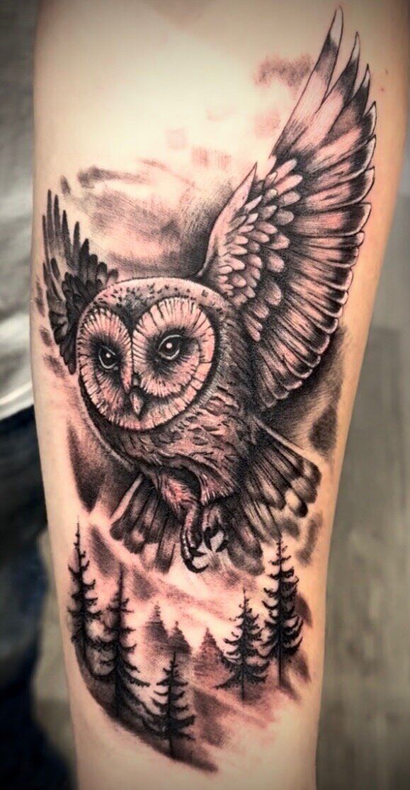 Black & gray · owl over pines
