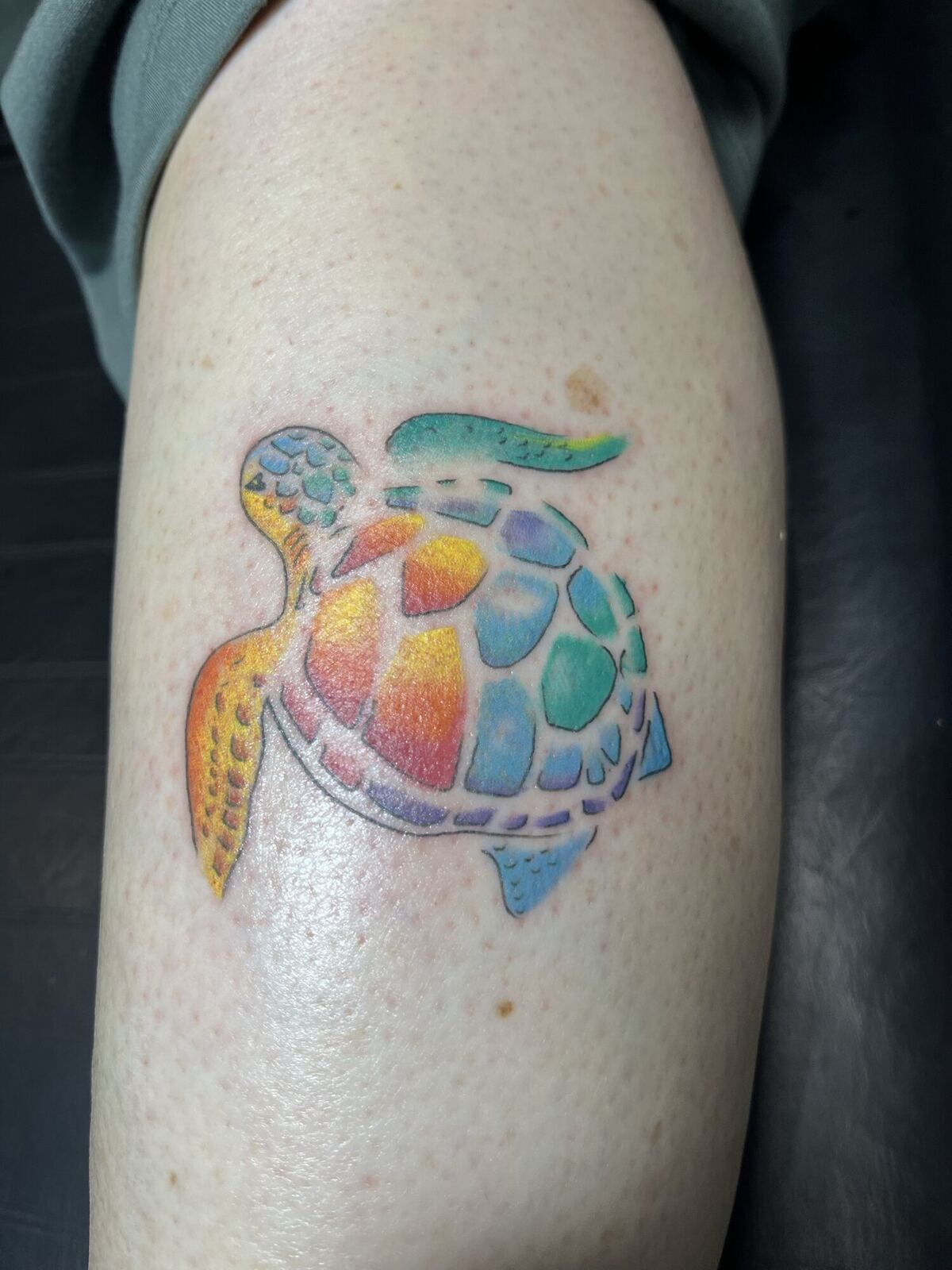 Color · stained-glass sea turtle